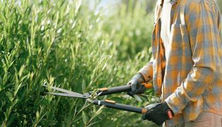must-have-tools-for-beginner-gardeners-from-hoselink