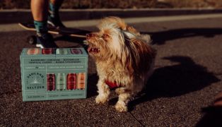 5-best-wayfairs-top-rated-products-for-spoiled-fur-babies