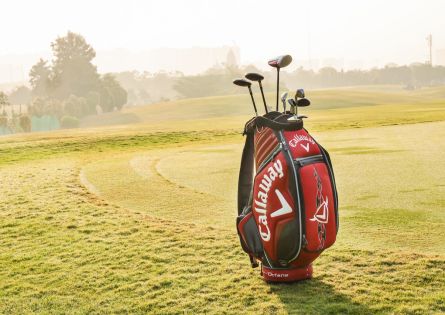 what-sports-good-to-buy-from-dicks-sporting-goods